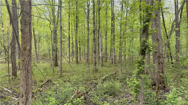 Munson Hill Road, Ashtabula, OH 44004