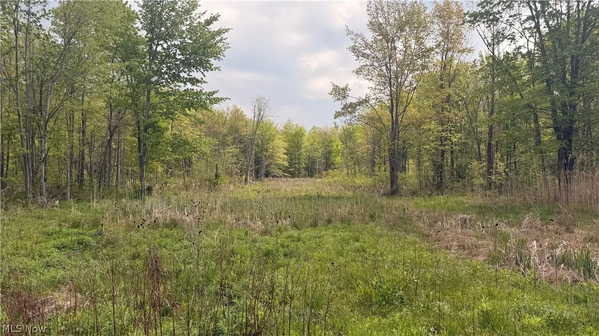 Munson Hill Road, Ashtabula, OH 44004 - #1