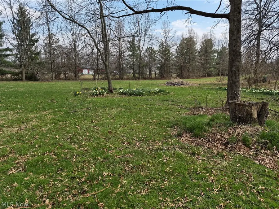 38599 Norwalk Road, Litchfield, OH 44253 - #3
