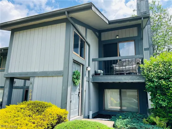 7047 Bristlewood Drive, Concord Twp, OH 44077