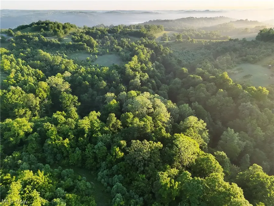 Sykes Ridge Road, Clarington, OH 43915 - #3