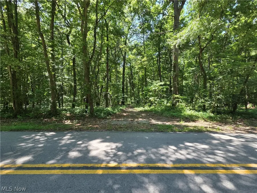V/L - Poorman Road, Vermilion, OH 44089 - #3