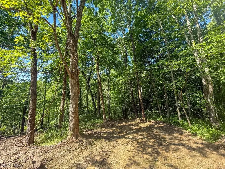 St Rt 555, Chesterhill, OH 43728 - #2