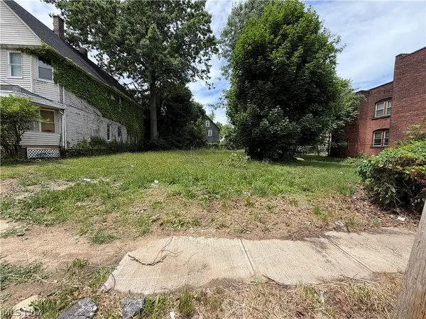 1308 E 85th Street, Cleveland, OH 44106