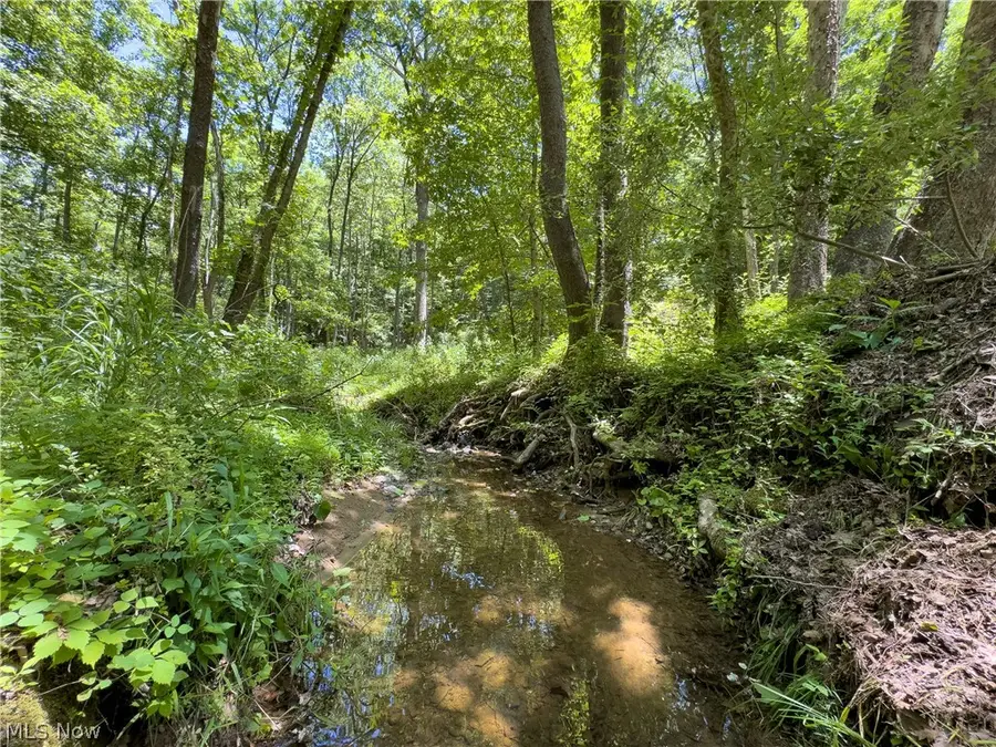 0 Long Hollow Road, Pomeroy, OH 45769 - #2