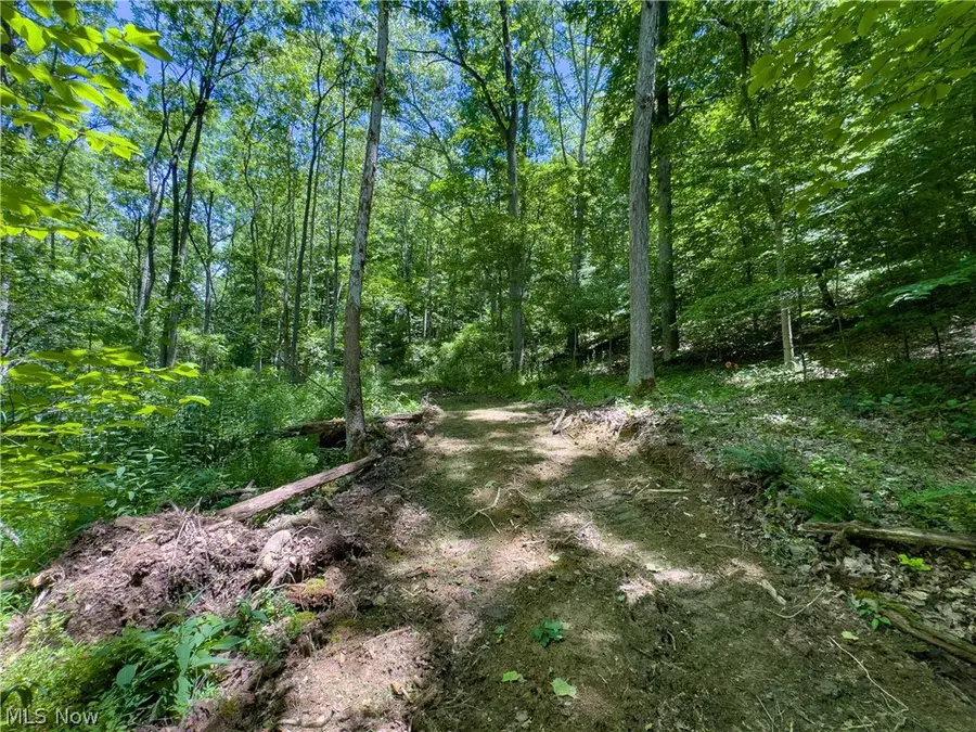 0 Long Hollow Road, Pomeroy, OH 45769 - #3