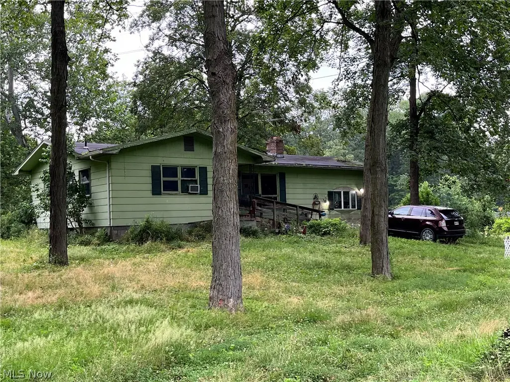 50186 State Route 154, Negley, OH 44441 - #1