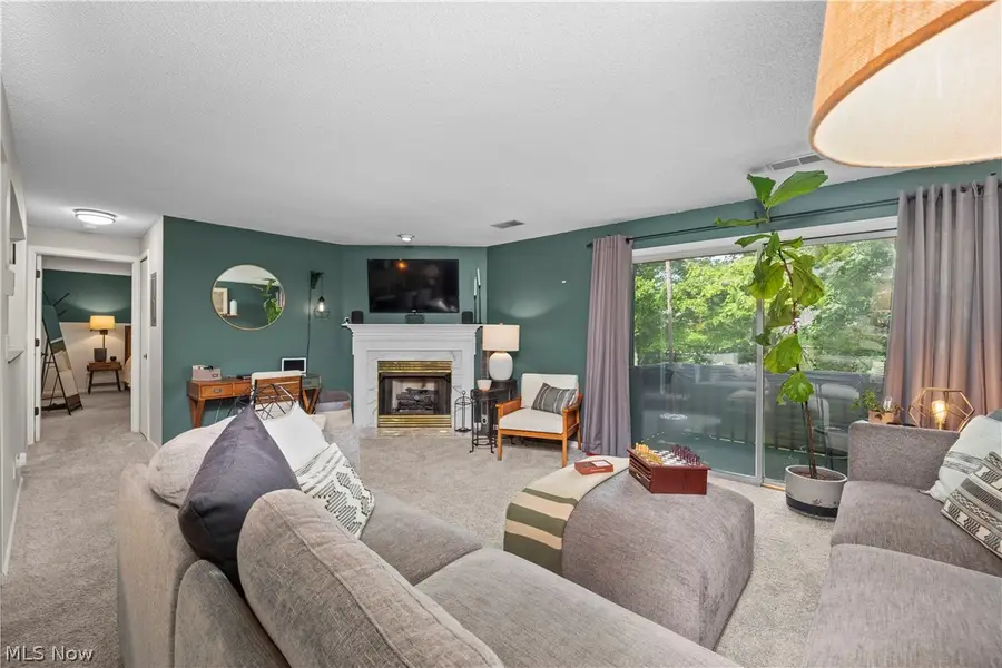 6231 Hidden Creek Drive #232, Lorain, OH 44053 - #3
