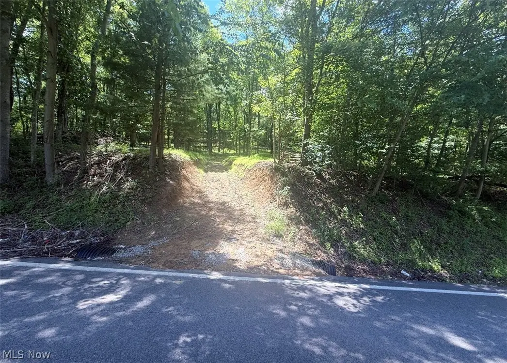 Hardins Run Road, New Cumberland, WV 26047 - #1