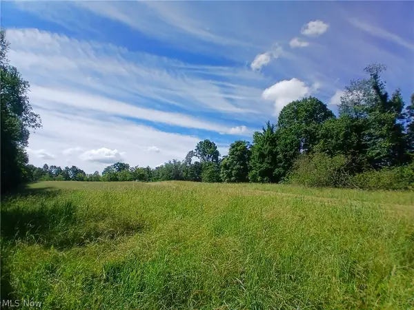868 Township Road 278, Bergholz, OH 43908