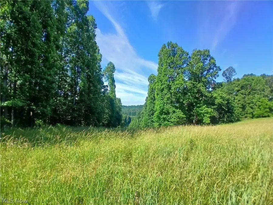 868 Township Road 278, Bergholz, OH 43908 - #2