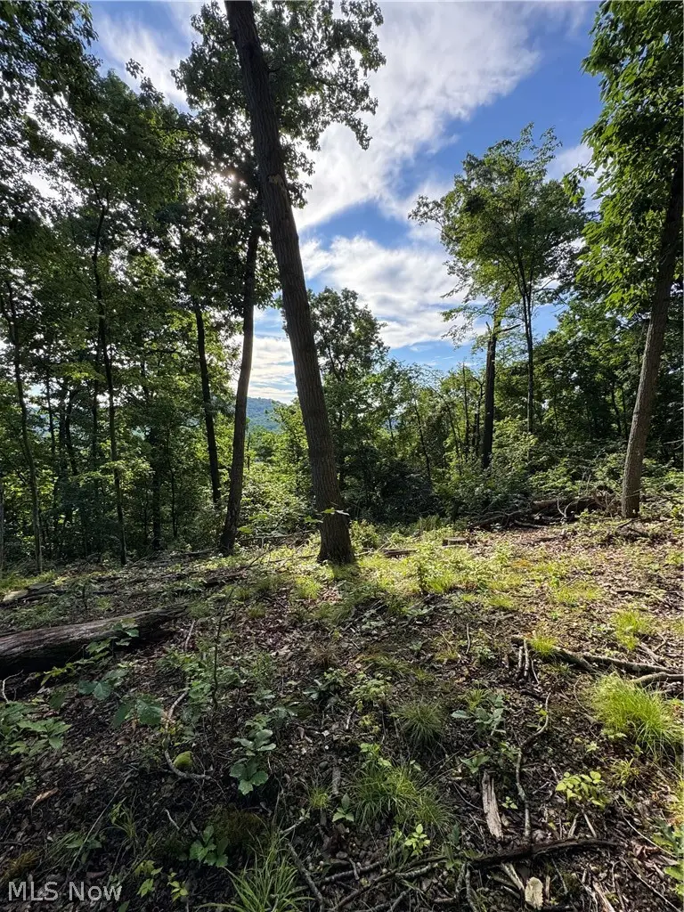 Stone Quarry Road, Danville, OH 43014 - #3