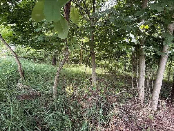 685 Sanchez Trail, Malvern, OH 44644
