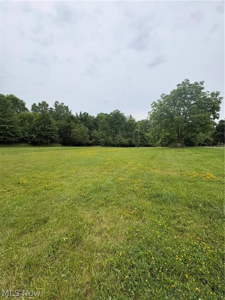 Elm Drive, Rittman, OH 44270 - #1