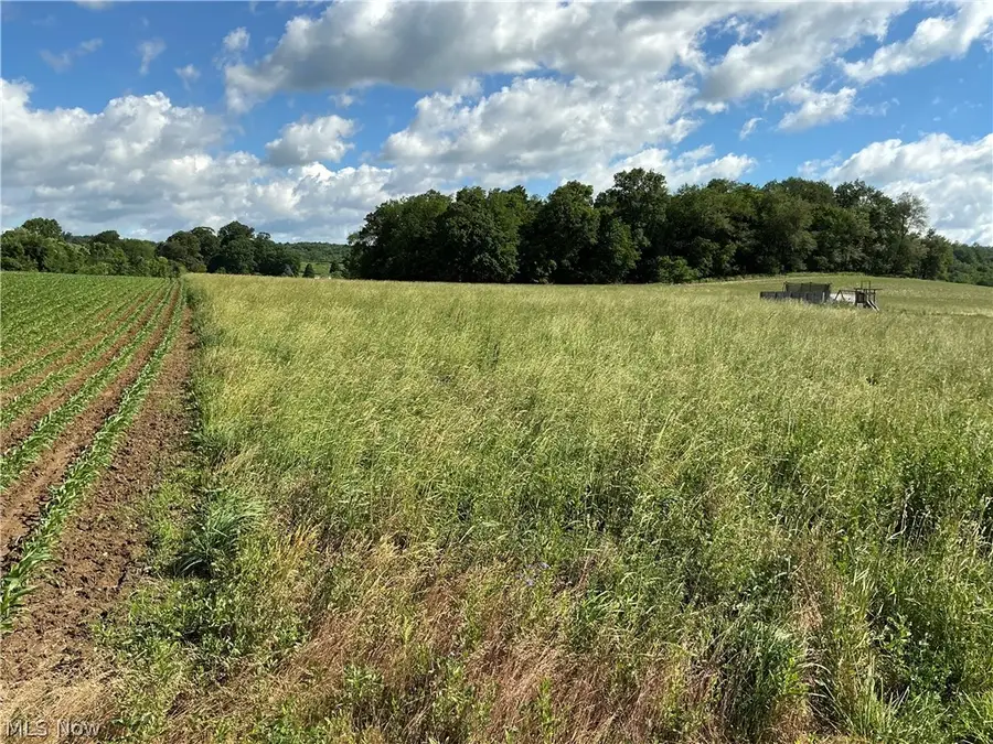 Dolphin Sw Street, Strasburg, OH 44680 - #3