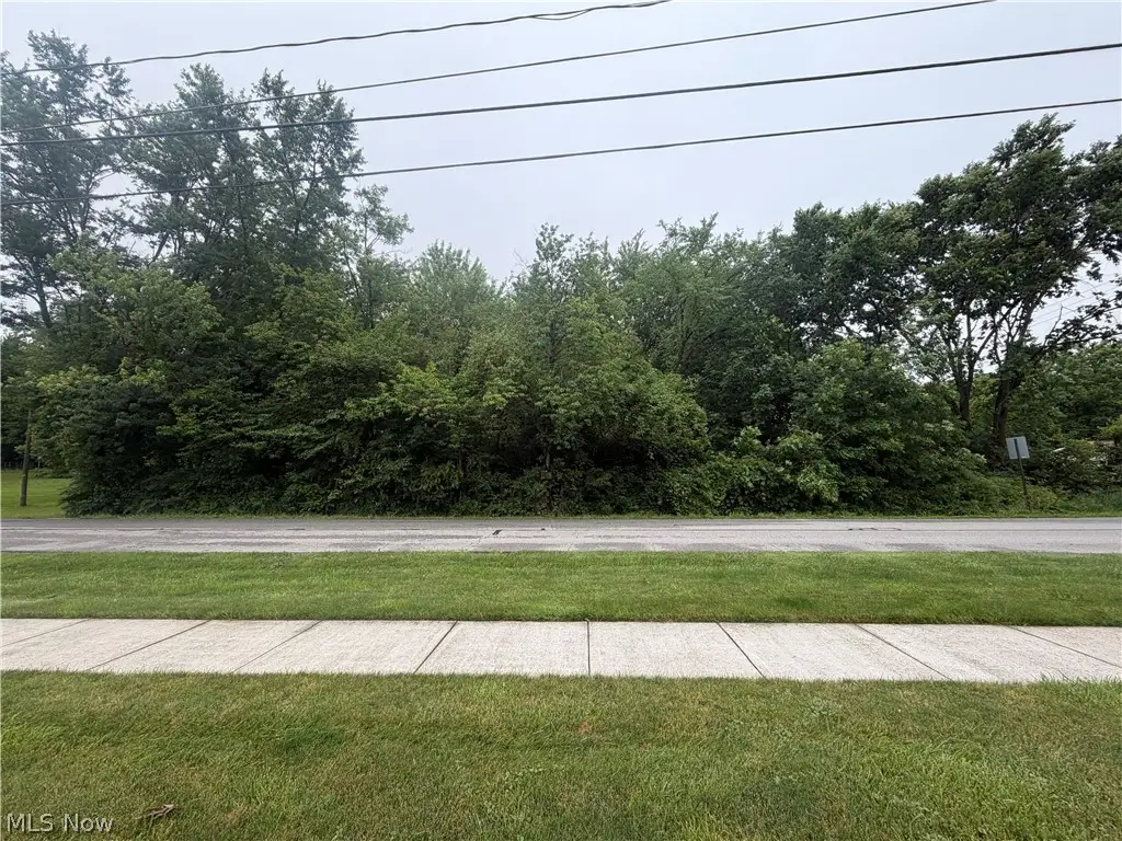 V/L Waverly Avenue, Wadsworth, OH 44281 - #1