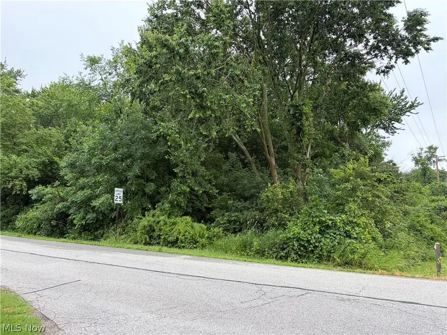V/L Waverly Avenue, Wadsworth, OH 44281 - #2