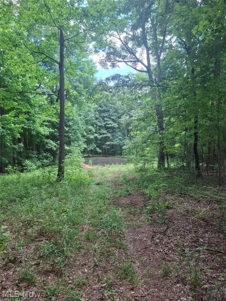 10381 Mulberry Road, Chardon, OH 44024 - #1