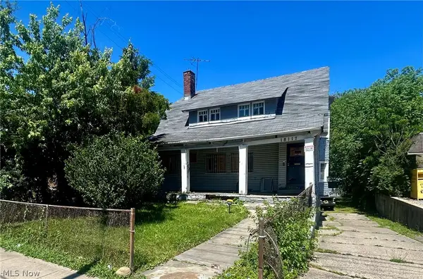 18117 Euclid Avenue, Cleveland, OH 44112