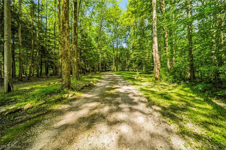 4370 Murphy Road, Thompson, OH 44086 - #3