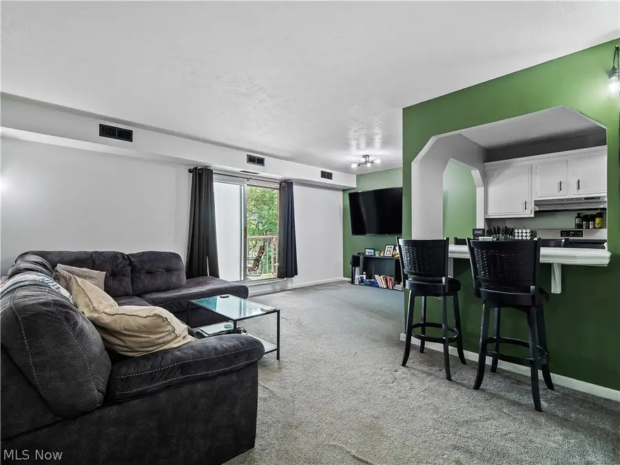 3675 Clague Road #316, North Olmsted, OH 44070 - #3