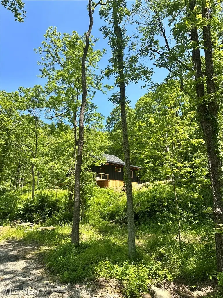 00001 Morton Hill Road, Stafford, OH 43786 - #2