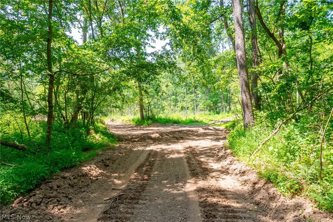 31800 Chestnut Ridge Road #2, Union, OH 43050 - #1