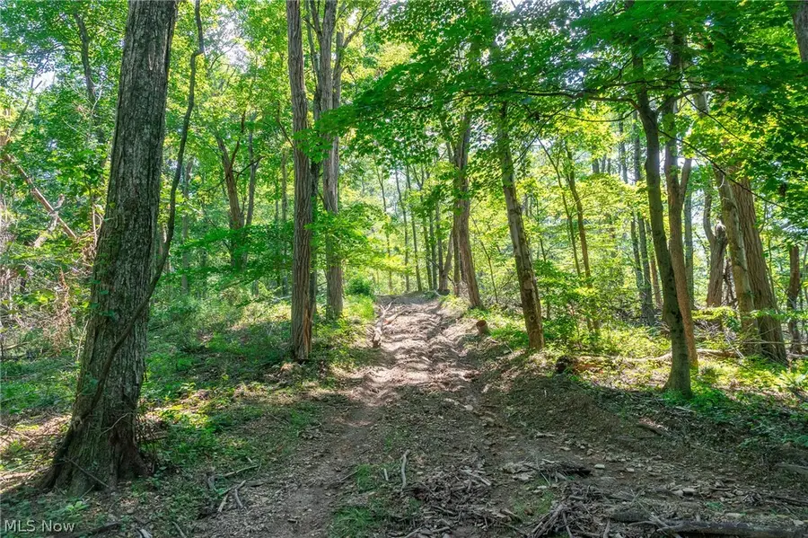31800 Chestnut Ridge Road #2, Union, OH 43050 - #3