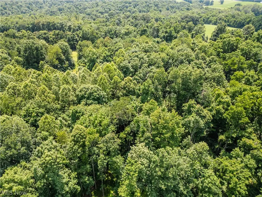 Lot 11 Township Rd 51, Somerset, OH 43783 - #3