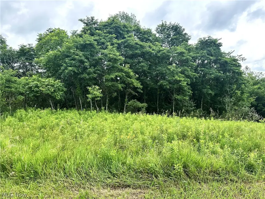 V/L Dogwood & Poplar Sw Drive, Carrollton, OH 44615 - #3