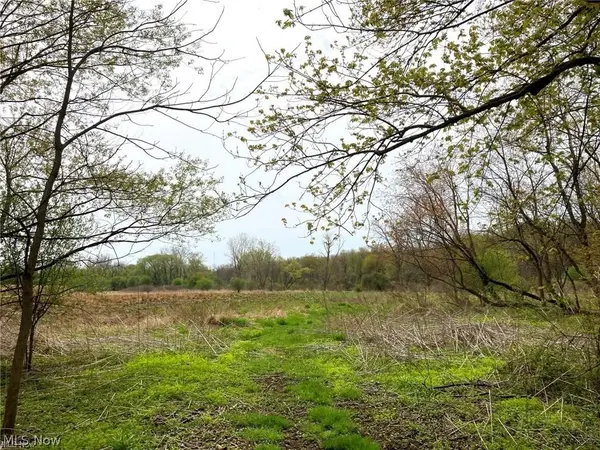 V/L Schocalog Road, Copley, OH 44320