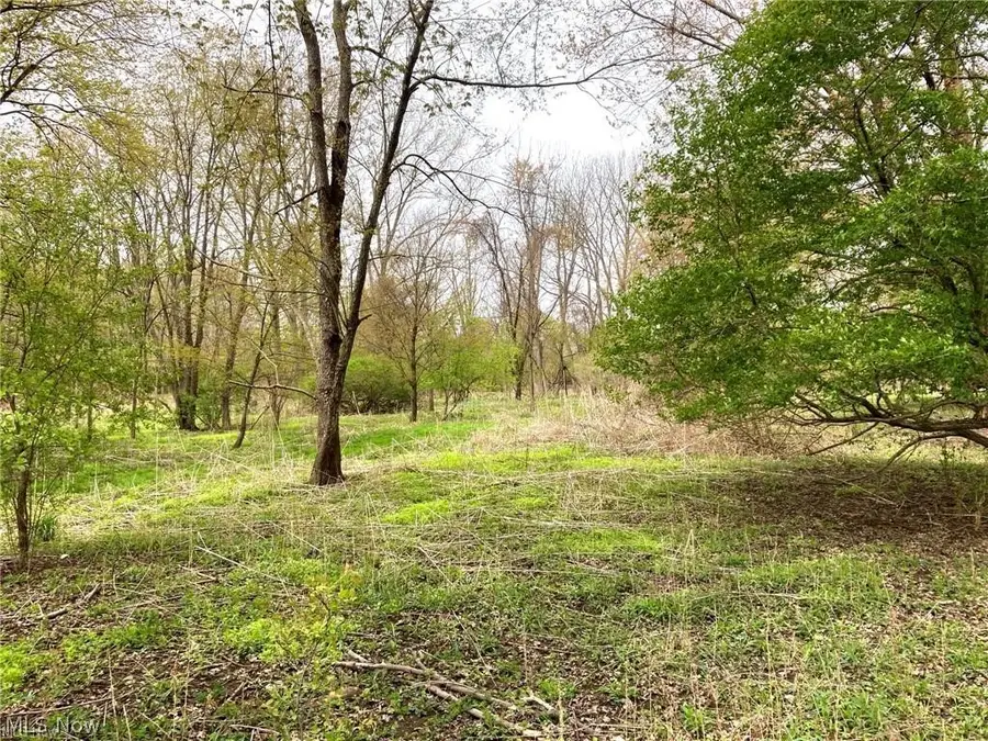 V/L Schocalog Road, Akron, OH 44320 - #2