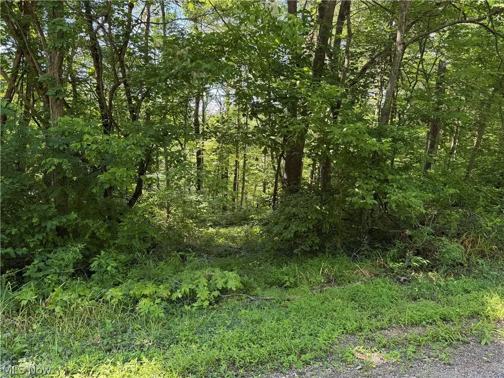 0 Fisher Ridge Rd, Tract 6 Road, Fleming, OH 45729 - #1
