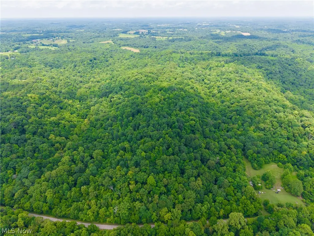 Big Run Road, Cutler, OH 45724 - #1