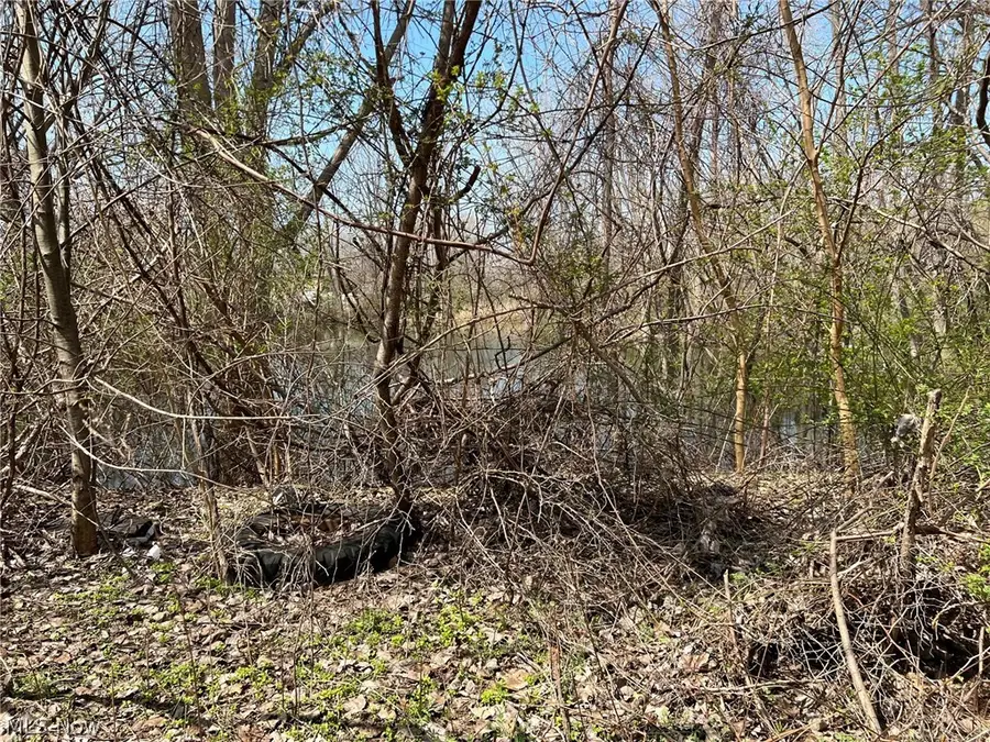 4867 N Ridge Road, Perry, OH 44081 - #2