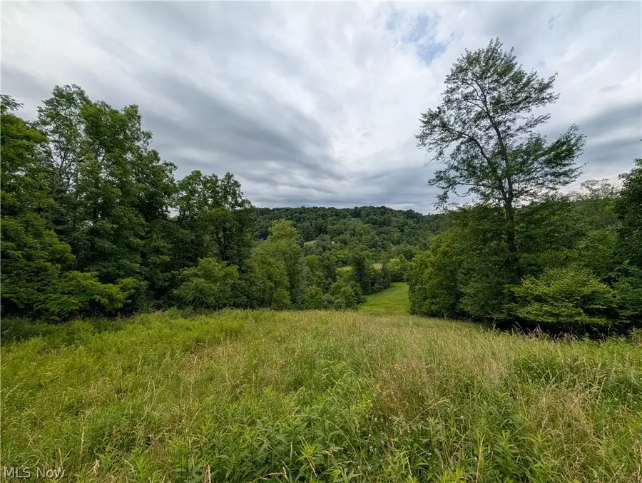 County Road 36, Bloomingdale, OH 43910 - #2