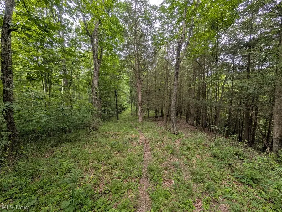 County Road 36, Bloomingdale, OH 43910 - #3