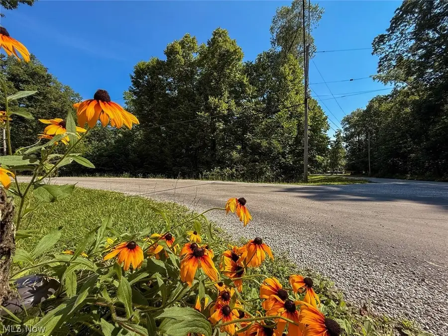 Maderia Drive, West Salem, OH 44287 - #3