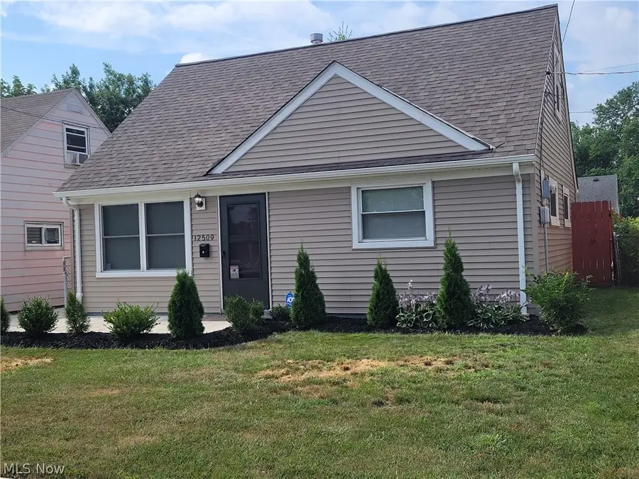 12509 Hirst Avenue, Cleveland, OH 44135 - #2