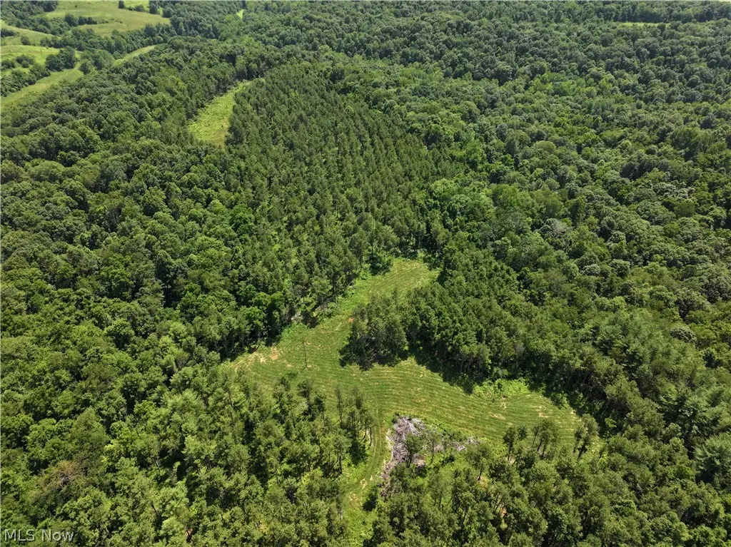 0 Tract D E. Reinersville Road, Manchester, OH 45786 - #1