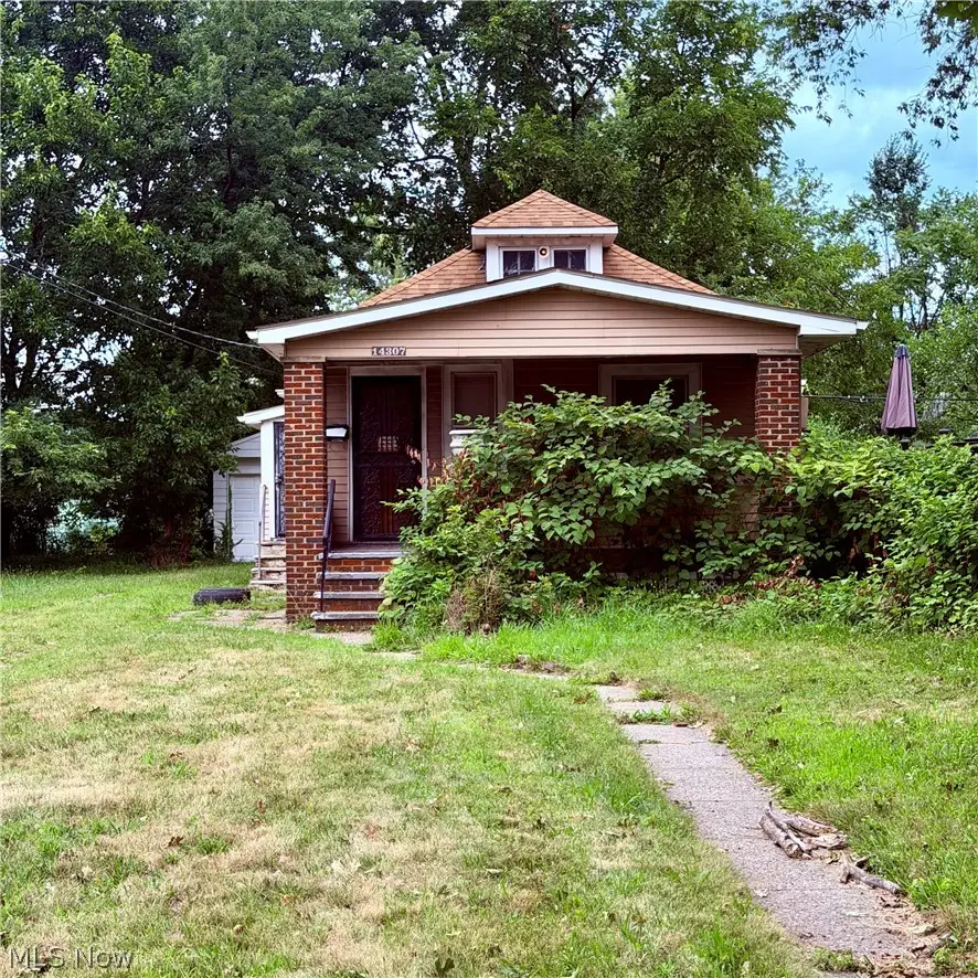 14307 Darley Avenue, Cleveland, OH 44110 - #2