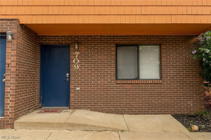 709 & 717 Carroll Street, Akron, OH 44304 - #2