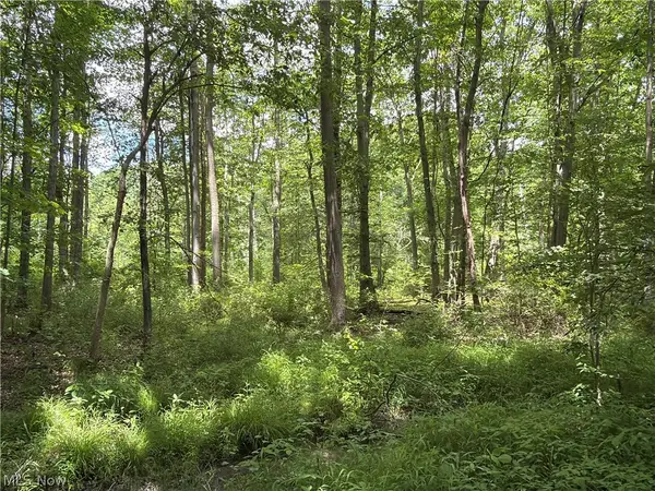 Crosby Cook Road, Rome, OH 44085