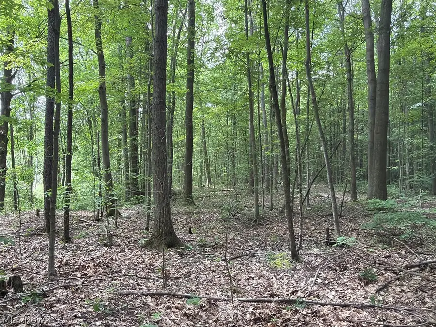Crosby Cook Road, Rome, OH 44085 - #2