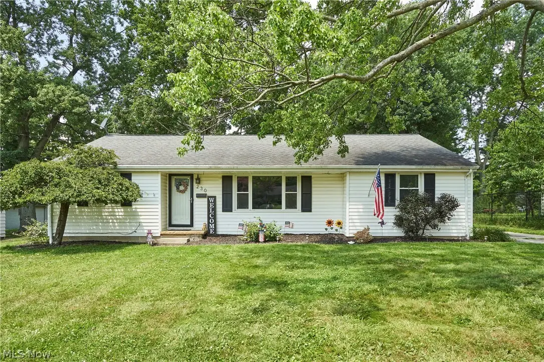 230 Valley View Drive, Wadsworth, OH 44281 - #1