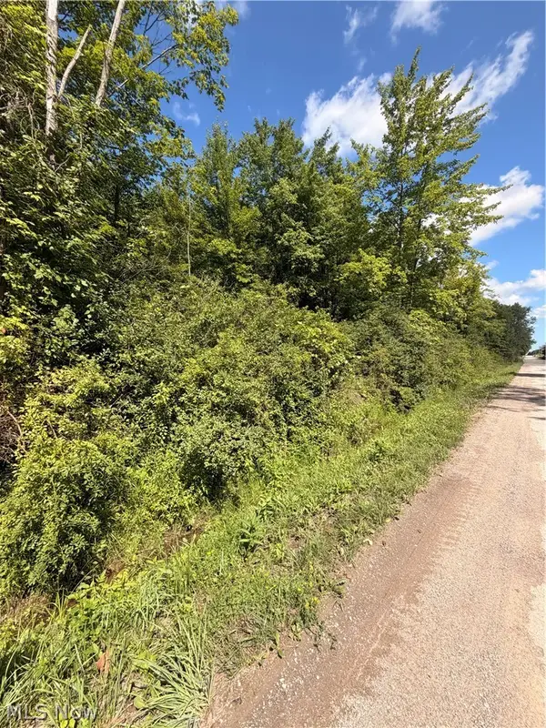 Forman Road, Rock Creek, OH 44084