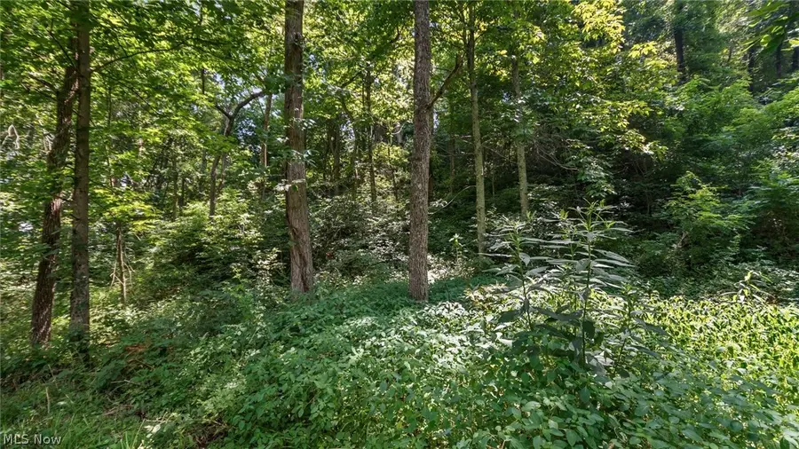 3200 Woodyard Road, Stockport, OH 43787 - #2