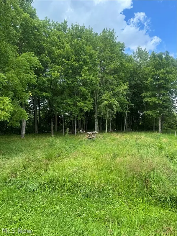 W Egypt Road, Minerva, OH 44657