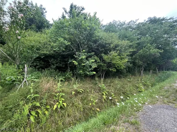 Buie Road, Kingsville, OH 44048