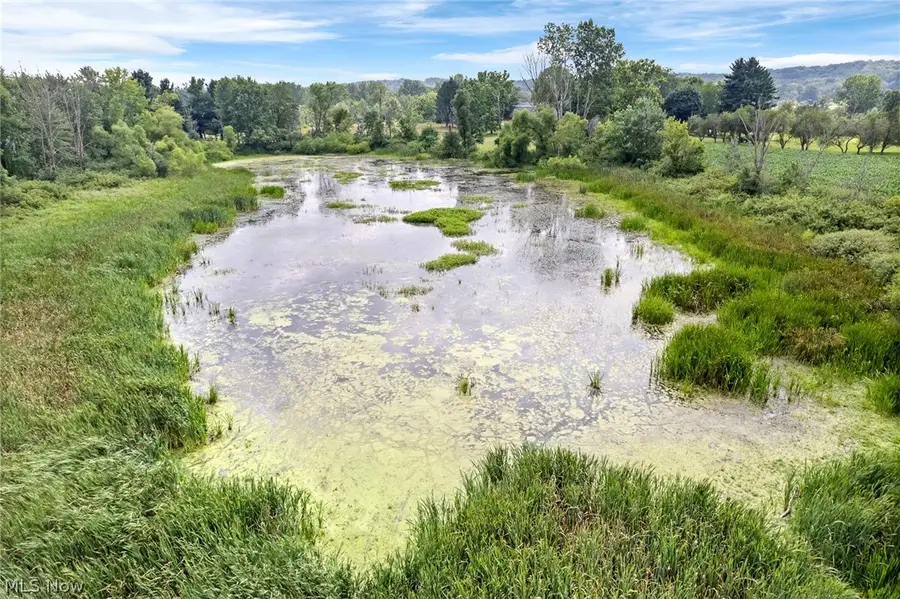 Wadsworth Road, Wadsworth, OH 44281 - #3